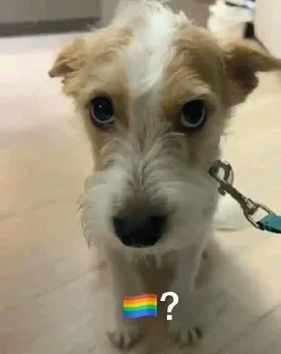 🏳️‍🌈 emoji Polygon 🏳‍🌈? Telegram sticker 14 of 45