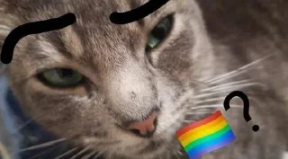 🏳️‍🌈 emoji Polygon 🏳‍🌈? Telegram sticker 7 of 45