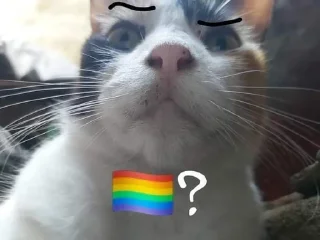 🏳️‍🌈 emoji Polygon 🏳‍🌈? Telegram sticker 17 of 45