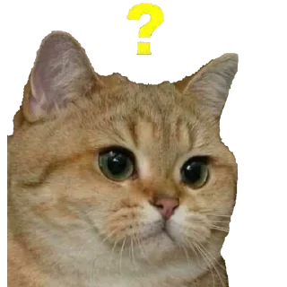 🤭 emoji Wa Telegram sticker 6 of 37