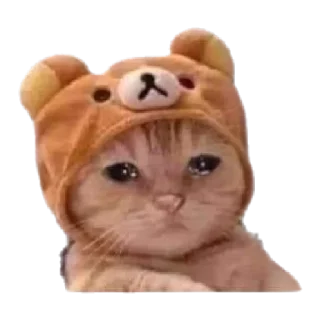 Sticker from WA