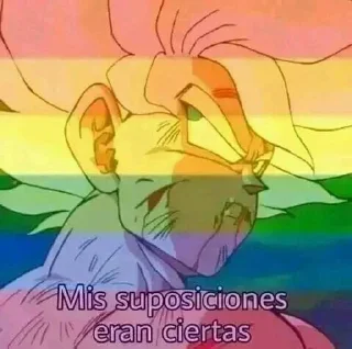 🏳‍🌈 emoji Lo Suponía Telegram sticker 5 of 15