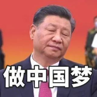 💤 emoji 习主席贴纸 Telegram sticker 13 of 23