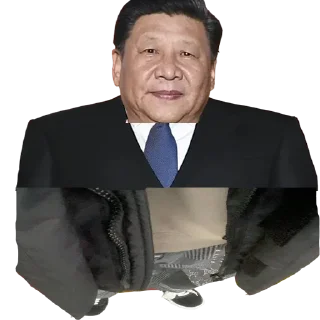 👩‍🦽 emoji 习近平语录 Telegram sticker 22 of 59