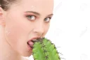 🌵 emoji Stock Photos Telegram sticker 7 of 50