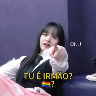 Sticker from Memes de kpop parte 4 :: @CrieFigBot