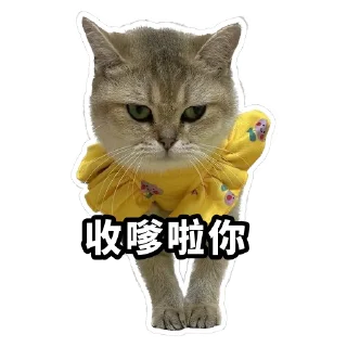 🤫 emoji Meow3 Telegram sticker 21 of 33
