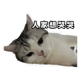 🥲 emoji Meow3 Telegram sticker 10 of 33