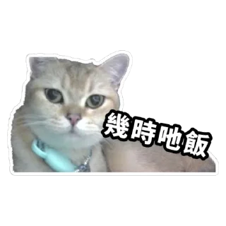 🤤 emoji Meow3 Telegram sticker 24 of 33