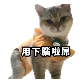 😑 emoji Meow3 Telegram sticker 18 of 33