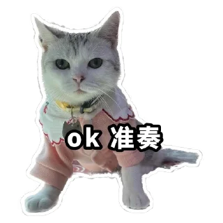 👌 emoji Meow3 Telegram sticker 20 of 33