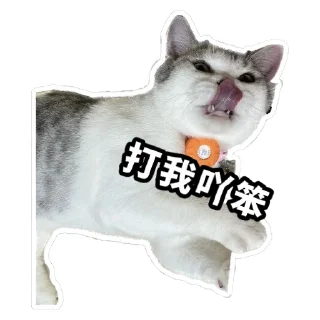 🤪 emoji Meow3 Telegram sticker 12 of 33
