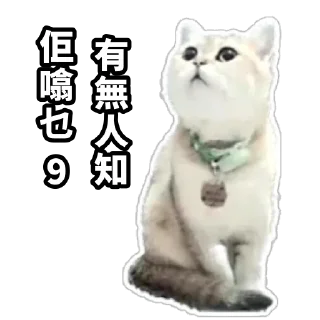 😵‍💫 emoji Meow3 Telegram sticker 23 of 33