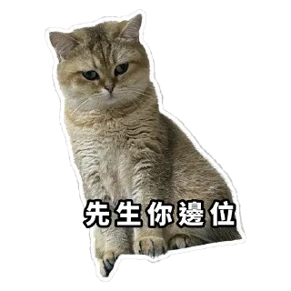 😐 emoji Meow3 Telegram sticker 11 of 33