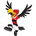 Sticker from Flamengo Oficial