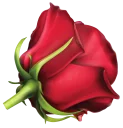 💐 emoji Flowers Telegram sticker 22 of 100