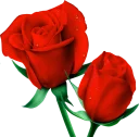 💐 emoji Flowers Telegram sticker 23 of 100