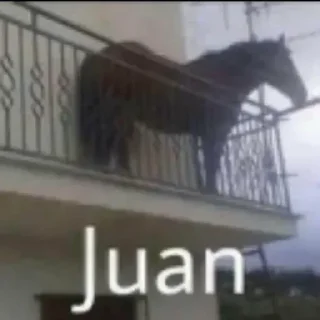 🐴 emoji @eduardo Telegram sticker 16 of 108