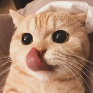 😝 emoji LS | @Serrudo Telegram sticker 12 of 28