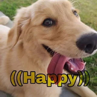 Sticker from Maya