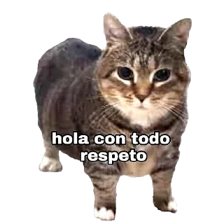 🙂 emoji @AN0N1M_z Telegram sticker 5 of 120