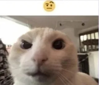 🤔 emoji Your stickers - @my_stckers_bot Telegram sticker 3 of 53