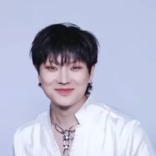 🦜 emoji Hanse by @aratickers Telegram sticker 12 of 30