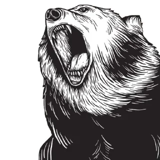 Sticker from Crypto Holder Stickers