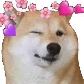 🥰 emoji Cumpack — @stckrRobot Telegram sticker 19 of 118