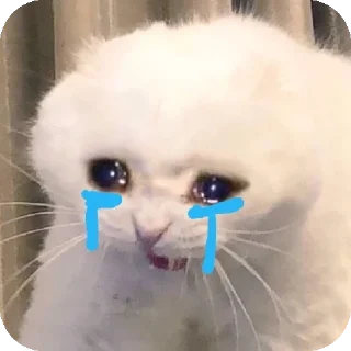 🐶 emoji Memes quando minha esquizofrênia está baixa Telegram sticker 20 of 120