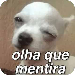 Sticker from Zueirinha