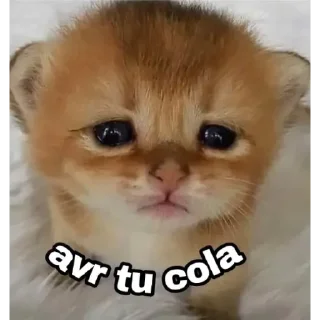 🥺 emoji Miguel Telegram sticker 20 of 30