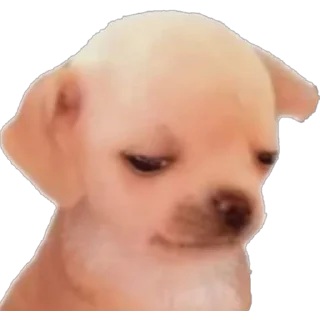 😞 emoji Mio Telegram sticker 10 of 41