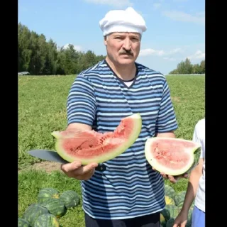 🇧🇾 emoji Belarus 🇧🇾 Telegram sticker 15 of 69