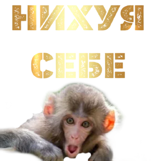 😊 emoji WO ZA KUROME? Telegram sticker 5 of 10