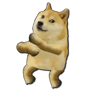 🚀 emoji 狗狗币Dogecoin @doge88 Telegram sticker 5 of 38