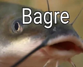 🐟 emoji Aleatórios II Telegram sticker 17 of 120