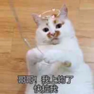 🥰 emoji 喵咪咪 Telegram sticker 6 of 48