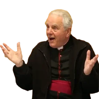 🙏 emoji Bishop Richard Williamson Telegram sticker 15 of 17