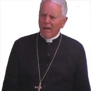 🤨 emoji Bishop Richard Williamson Telegram sticker 8 of 17