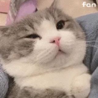 😊 emoji 可可爱爱猫猫 @TG771 Telegram sticker 18 of 50