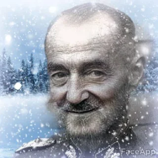 ❄️ emoji Dirlewanger brigade Telegram sticker 18 of 28
