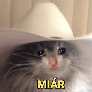 🥺 emoji Jin Telegram sticker 17 of 62