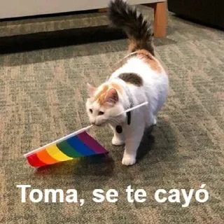🏳‍🌈 emoji Paketón-Ton Telegram sticker 7 of 78