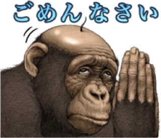 🐵 emoji chimp        by @raivozo Telegram sticker 12 of 87