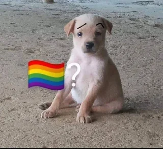 🏳️‍🌈 emoji Polygon 🏳‍🌈? Telegram sticker 19 of 45