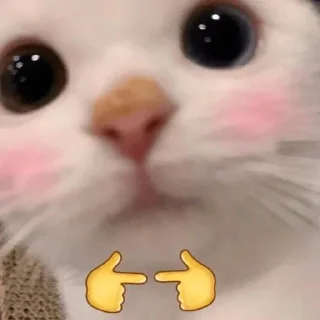 👈 emoji os melhores Telegram sticker 7 of 25