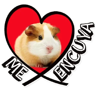 Sticker from cuy