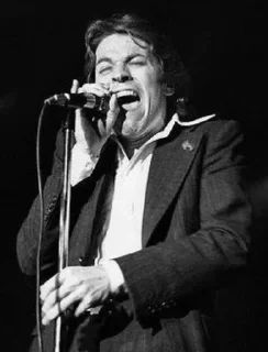 😫 emoji ROBERT PALMER 1 @PARANAENSIS. Telegram sticker 15 of 29