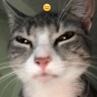 😐 emoji Aleatório Telegram sticker 10 of 16